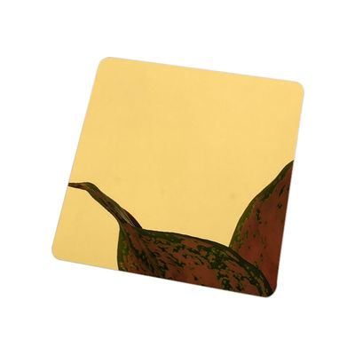 ورقة الزخرفية 304 التيتانيوم مرآة الفولاذ المقاوم للصدأ وردة نوع ذهب شعري ملون أسود